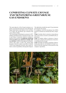 Context page 117