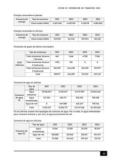 Emissions data extracted from page 41