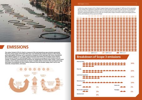 Emissions data extracted from page 21