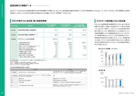 Emissions data extracted from page 45