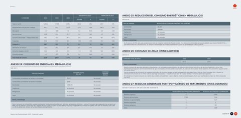 Emissions data extracted from page 65