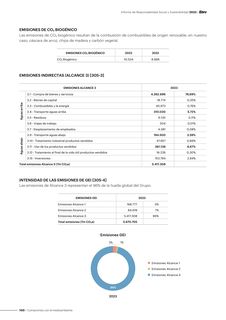 Emissions data extracted from page 100