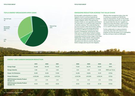 Emissions data extracted from page 31