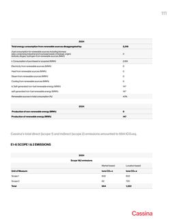 Emissions data extracted from page 113