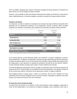 Emissions data extracted from page 13