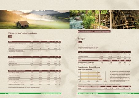 Emissions data extracted from page 12