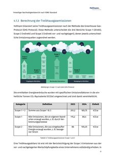Emissions data extracted from page 31