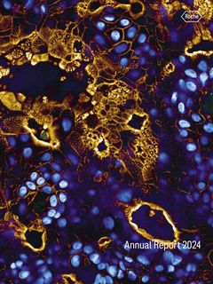 Cover of the source filing