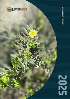 Cover of the source filing