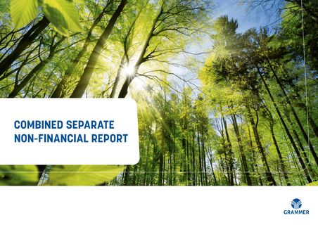 Cover of the source filing