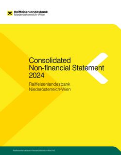 Cover of the source filing
