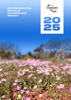 Cover of the source filing