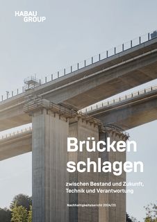 Cover of the source filing