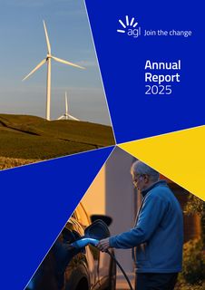 Cover of the source filing