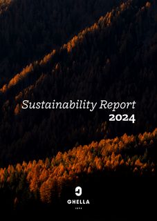 Cover of the source filing