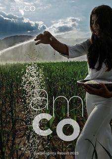 Cover of the source filing