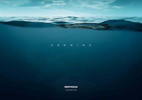 Cover of the source filing