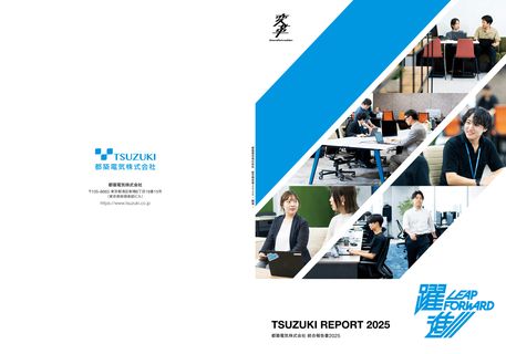 Cover of the source filing