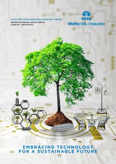 Cover of the source filing