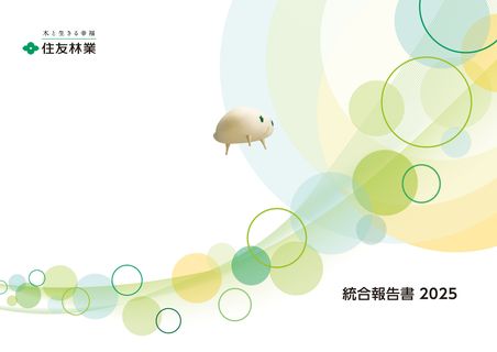 Cover of the source filing