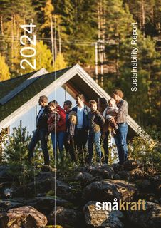 Cover of the source filing