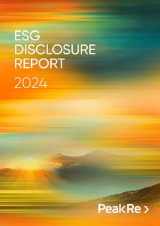 Cover of the source filing