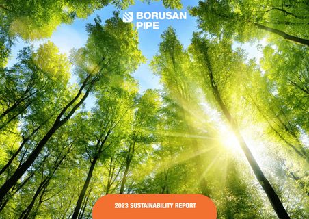 Cover of the source filing