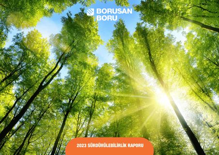 Cover of the source filing