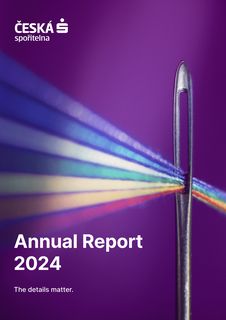 Cover of the source filing