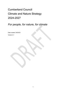 Cover of the source filing