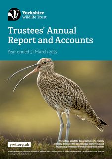Cover of the source filing