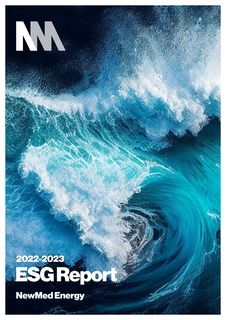 Cover of the source filing