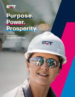 Cover of the source filing