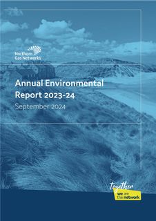 Cover of the source filing