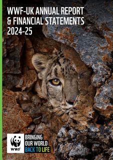 Cover of the source filing