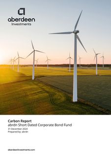 Cover of the source filing