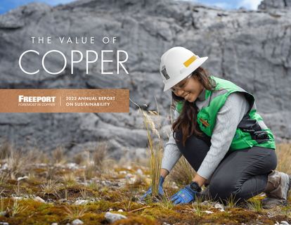 Cover of the source filing