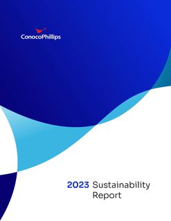 Cover of the source filing