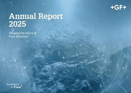Cover of the source filing