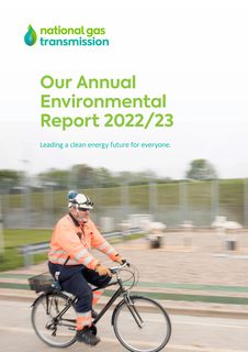 Cover of the source filing