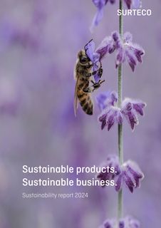 Cover of the source filing