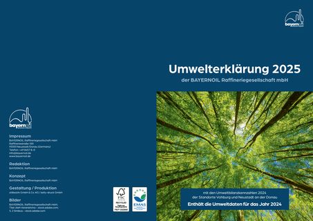 Cover of the source filing