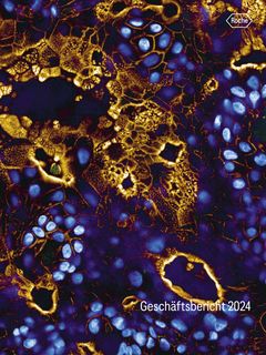 Cover of the source filing
