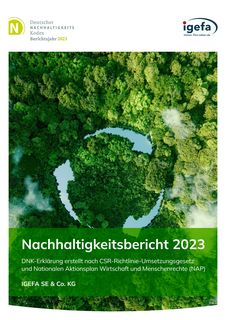 Cover of the source filing