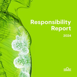 Cover of the source filing