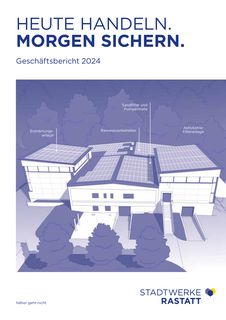 Cover of the source filing