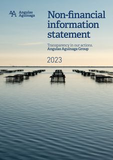 Cover of the source filing