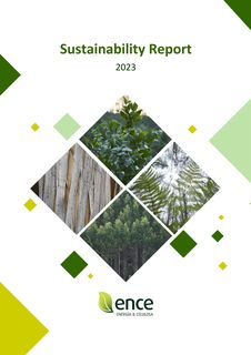 Cover of the source filing