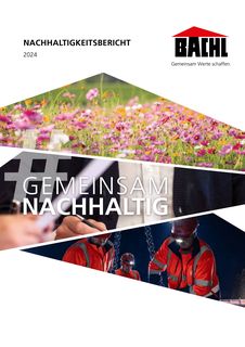Cover of the source filing