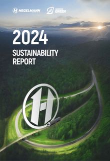 Cover of the source filing